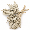 Salvia blanca de California