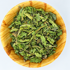 Verbena de India