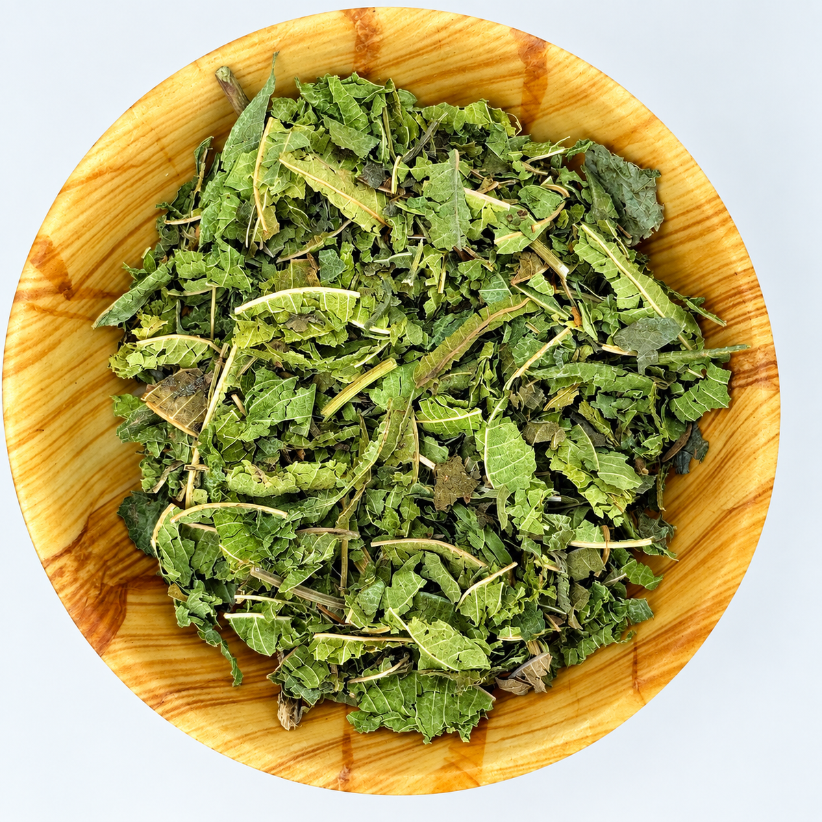 Verbena de India