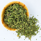 Verbena de India