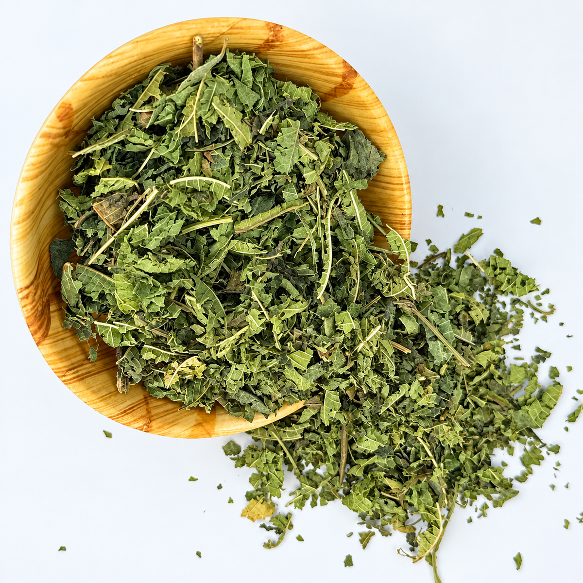 Verbena de India